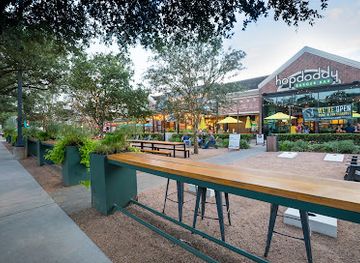 texas/houston/rice-village/landmark/rice-village