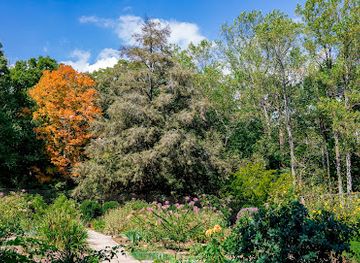 indiana/yellowwood-state-forest/landmark/t-c-steele-state-historic-site