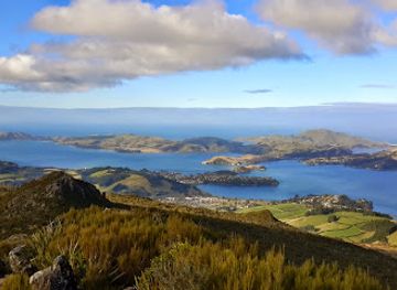 new-zealand/otago/landmark/mount-cargill-lookout