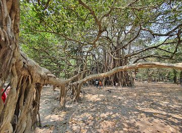 bangladesh/western-bengal/landmark/bonbibir-botgach