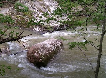 alabama/alabama-coastal-birding-trail/landmark/sipsey-wilderness