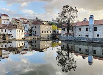 portugal/viseu/landmark/casa-da-ribeira