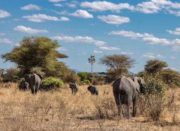 tanzania/tarangire-national-park/landmark/mto-tarangire