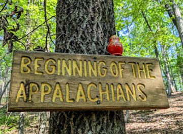 alabama/talladega-national-forest/landmark/flagg-mountain