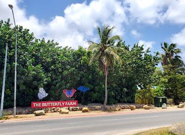 aruba/paradera/landmark/butterfly-farm