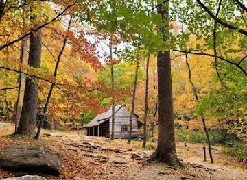 tennessee/east-tennessee/landmark/noah-bud-ogle-cabin