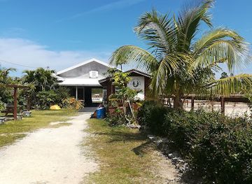 the-bahamas/lucaya/landmark/ol-freetown-farm