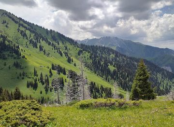 kazakhstan/almaty-mountains/landmark/kim-asar-gorge