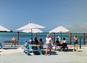 florida/sarasota-beaches/landmark/mote-marine-laboratory-aquarium