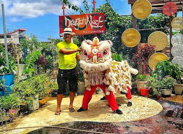 mauritius/port-louis/landmark/the-dragon-nest-gardens