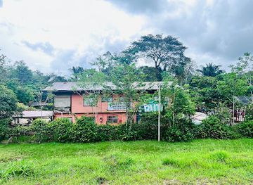 suriname/brokopondo-district/landmark/carolina-kreek