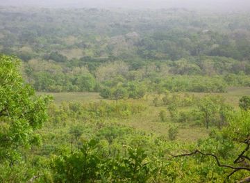 central-african-republic/dzanga-ndoki-national-park/landmark/chinko-nature-reserve