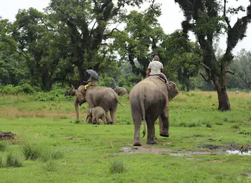 Chitwan National Park (Sauraha)