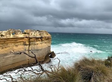 australia/great-ocean-road/landmark/princetown-wetlands-boardwalk