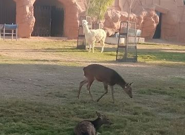 saudi-arabia/riyadh/al-malaz/landmark/riyadh-zoo-giraffe-statues