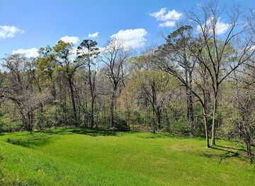 mississippi/natchez-trace-parkway/landmark/emerald-mound