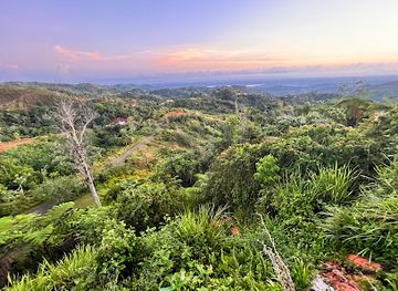 puerto-rico/la-cordillera-central/landmark/finca-las-puertas-de-san-pedro