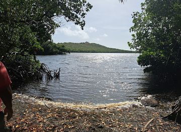 puerto-rico/yunque-national-forest/landmark/reserva-natural-cabezas-de-san-juan-para-la-naturaleza