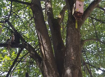 ukraine/lviv-region/landmark/120