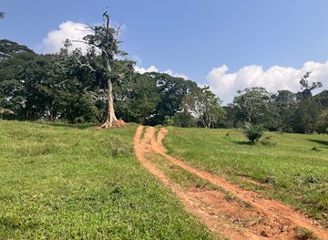 uganda/west-nile/landmark/entebbe-botanical-garden
