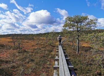 estonia/setomaa/landmark/korvemaa-landscape
