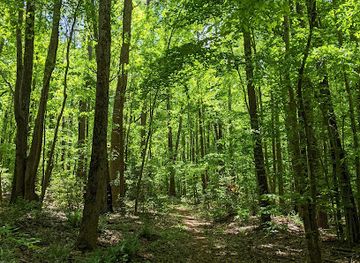virginia/northern-neck/landmark/hickory-hollow-natural-area-preserve