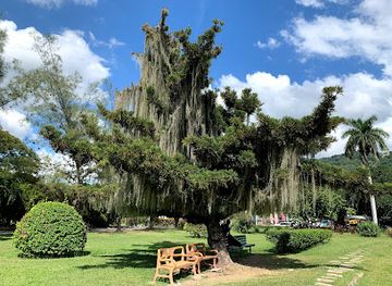 jamaica/portland-ridge/landmark/hope-botanical-gardens