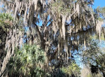 florida/nature-coast/landmark/emeralda-marsh-conservation-area