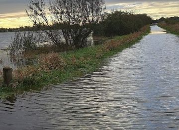 ireland/athlone/landmark/shannon-banks-nature-trail-walk-brown-route