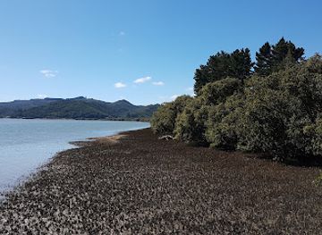 new-zealand/northland/landmark/mangungu-mission