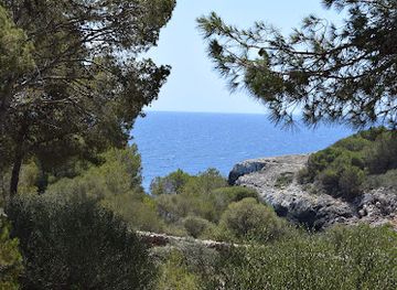 spain/mallorca/landmark/drach-caves