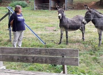luxembourg/gutland/landmark/gutland-sarl