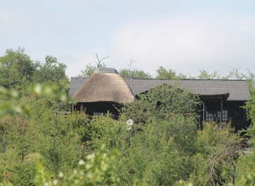 south-africa/lowveld/landmark/leopard-rock-bush-lodge