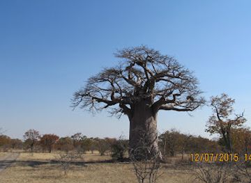 botswana/kalahari-desert/landmark/nwetwe-pan