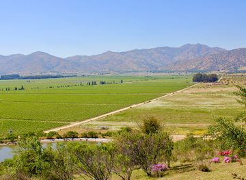 chile/colchagua-valley/landmark/vina-los-vascos