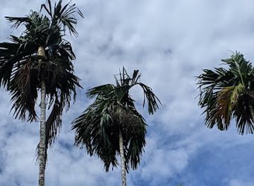 micronesia/koror/landmark/airai-bai