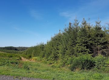 belgium/ardennes-mountains/landmark/arboretum-de-bertrix