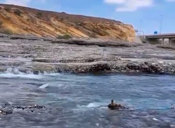 oman/al-hajar-al-gharbi/landmark/al-ansab-wetland