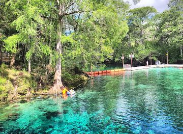 florida/nature-coast/landmark/fanning-springs-state-park