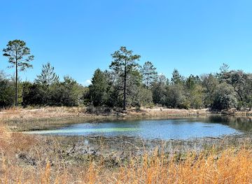 florida/juniper-springs-recreation-area/landmark/hidden-pond