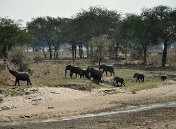 malawi/liwonde-national-park/landmark/vwaza-marsh-wildlife-reserve
