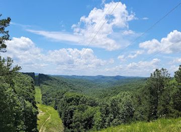 arkansas/ozark-mountains/landmark/ozark-mountain-ziplines