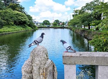 japan/mikawa/landmark/uesugi-hakushakutei