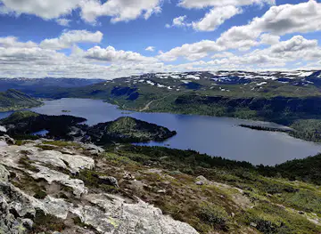 Hovdenuten