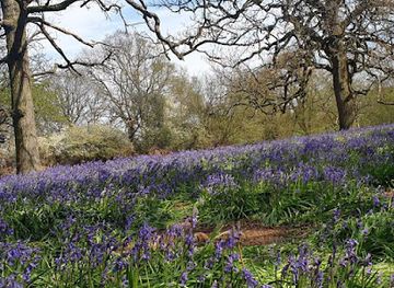 united-kingdom/essex/landmark/hillhouse-wood