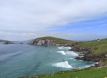 ireland/dingle-peninsula/landmark/dingle-oceanworld-aquarium