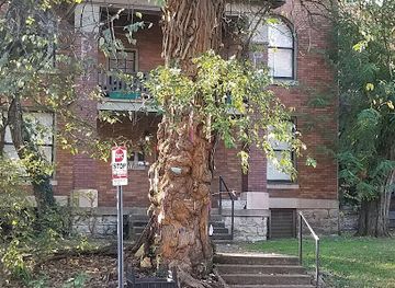 kentucky/louisville/landmark/the-witches-tree