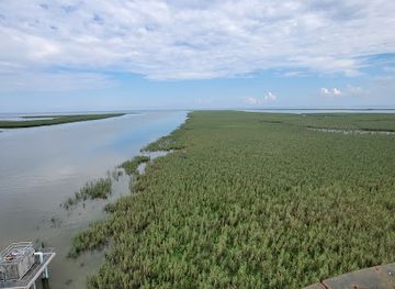 louisiana/southwest-louisiana/landmark/south-pass-light