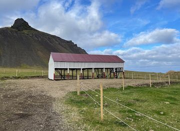 iceland/snafellsbar-area/landmark/bjarnarhofn-shark-museum