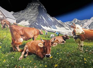 switzerland/lucerne/landmark/swiss-chocolate-adventure